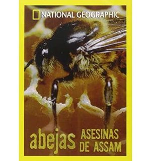 Abejas asesinas de Assam NatGeo [1999] [DVDRIP] [Castellano]  VS13_Ps_Bl