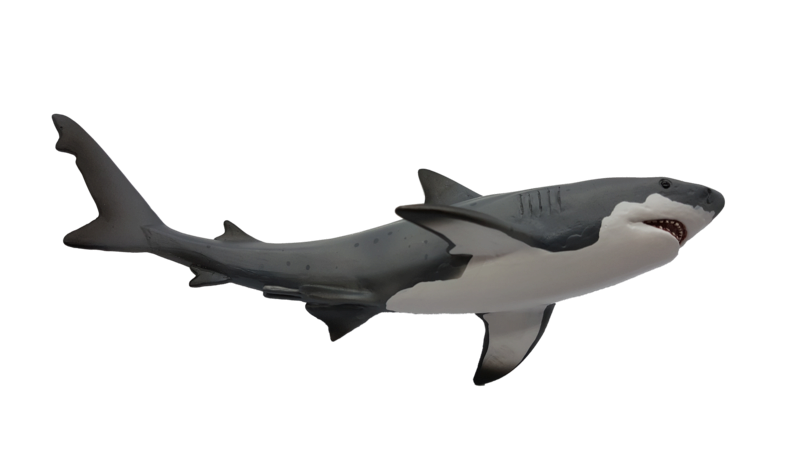 New Mojö 2017: Bull shark 38727010.png_original