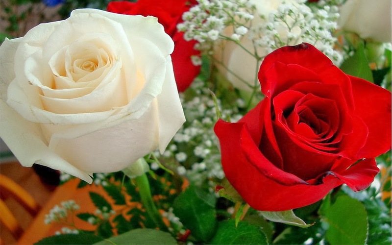 Niti tiine - Page 3 901468_red_white_roses_p