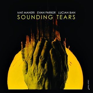 Mat Maneri, Evan Parker, Lucian Ban - Sounding Tears (2017) [FLAC] ORIdz9_Dl