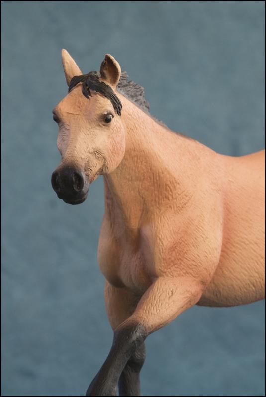 mojo - The MOJO FUN 2012 Buckskin Quarter horse walkaround by Kikimalou Buckskin_Quarter_horse_14