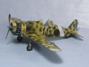 Fiat G 50 - AML 1/72 9_oct_13_010_resize