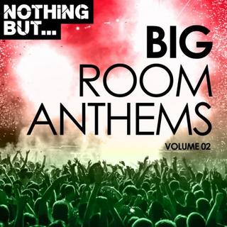 V.A. Nothing But Big Room Anthems Vol.02 (2017) [MP3] Th_edg_Nk1k_DT2_KG8r35uk_TOb_Uw_Uu_SVk66_Ik