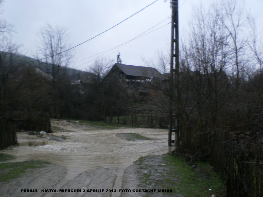 RAURI SECUNDARE SI PARAURI DIN OLTENIA P1010151