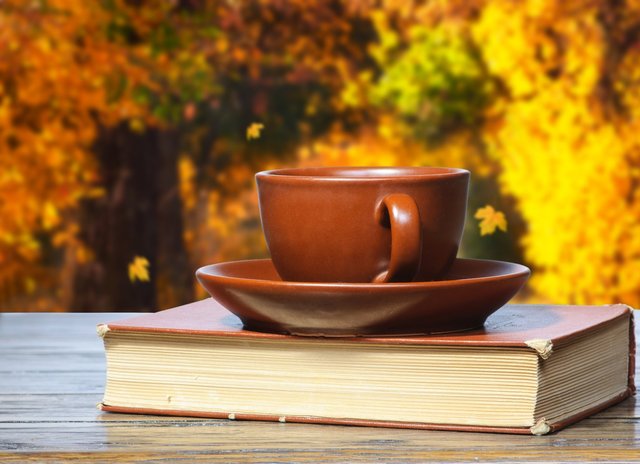 knjige Coffee_cup_books_coffee_cup_book_autumn