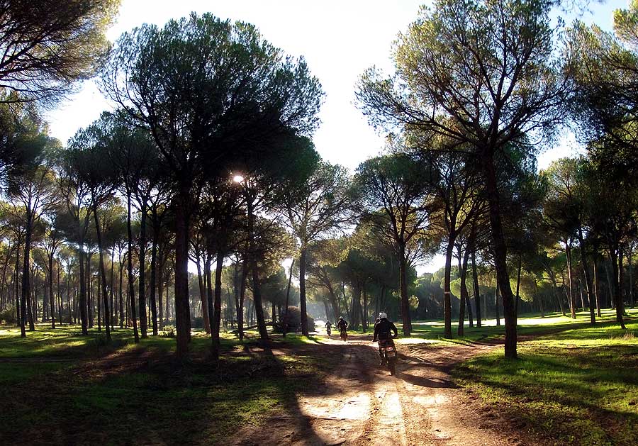 Entre Sevilla y Moguer, 200 km por caminos de arena Image