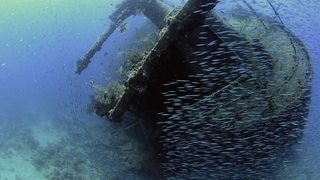 Las lágrimas negras del mar [2017] [WEBDL] [Castellano]  Kb_FRxz_Kl