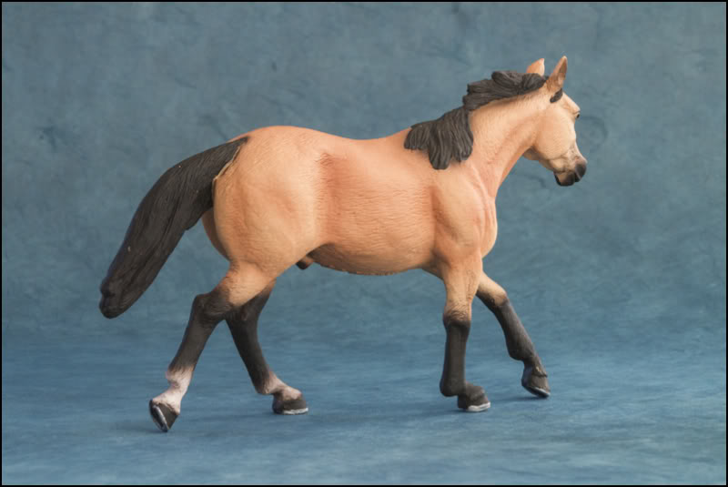 mojo - The MOJO FUN 2012 Buckskin Quarter horse walkaround by Kikimalou Buckskin_Quarter_horse_7