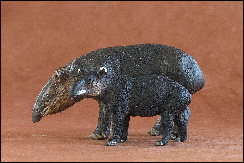 Ana's mountain tapir : A walkaround by Kikimalou Mountaintapir_DOBROWOSLKA-16.jpg_original