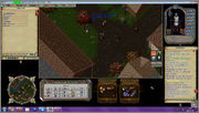 ~ Ultima Online ~ Screen_uo