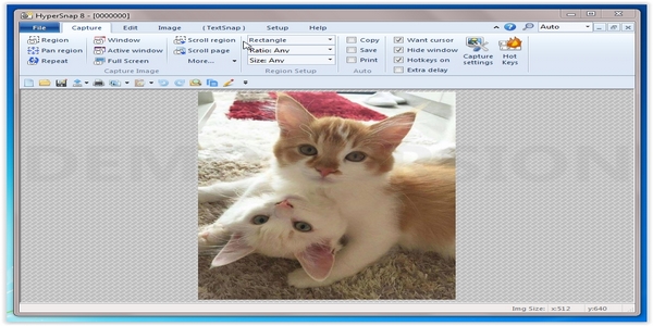 HyperSnap v8.15.00 Hyper_Snap