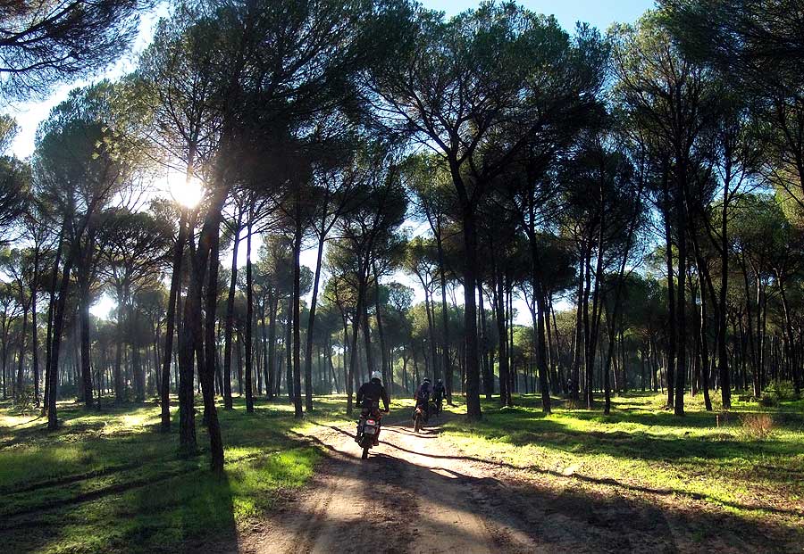 Entre Sevilla y Moguer, 200 km por caminos de arena Image