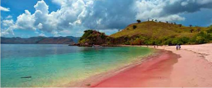 Pantai_pink_lombok_beach_-_5