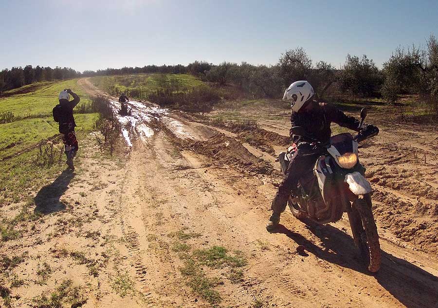 Entre Sevilla y Moguer, 200 km por caminos de arena Image