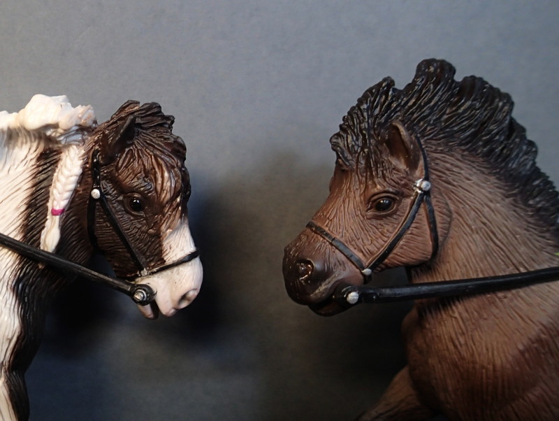 horses - New horses for Bullyland 2016 : Icelandic horse and "Tinker" Bully62759horses2016_zpslrtmdlxs