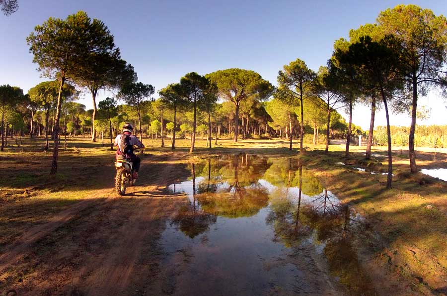 Entre Sevilla y Moguer, 200 km por caminos de arena Image