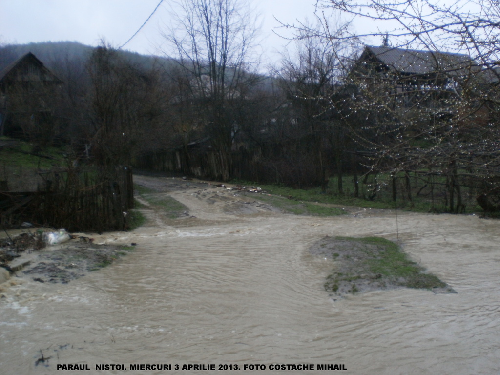 RAURI SECUNDARE SI PARAURI DIN OLTENIA P1010152