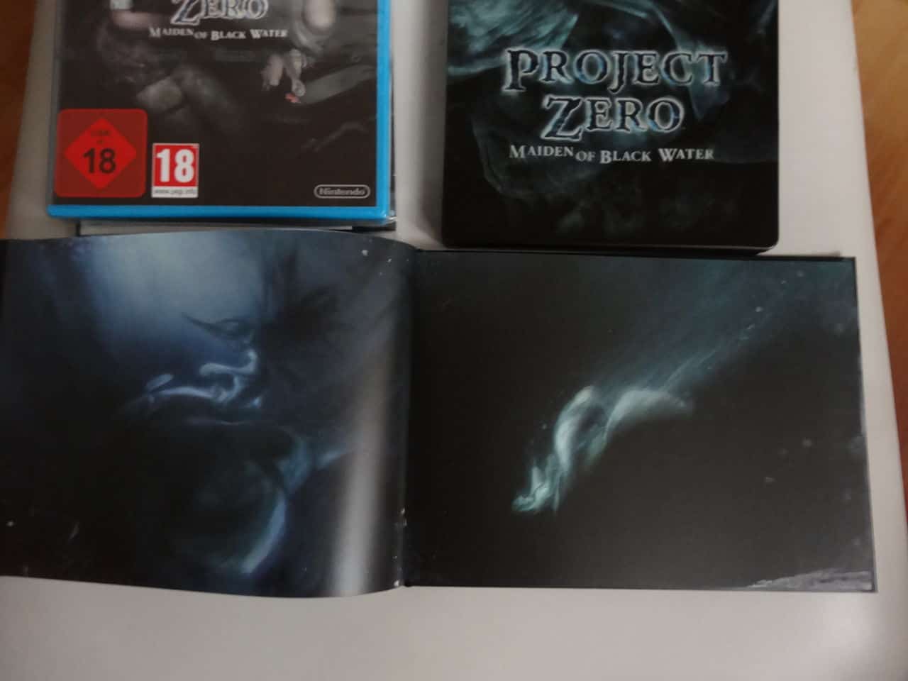 Project Zero Collector Wii U DSC02396