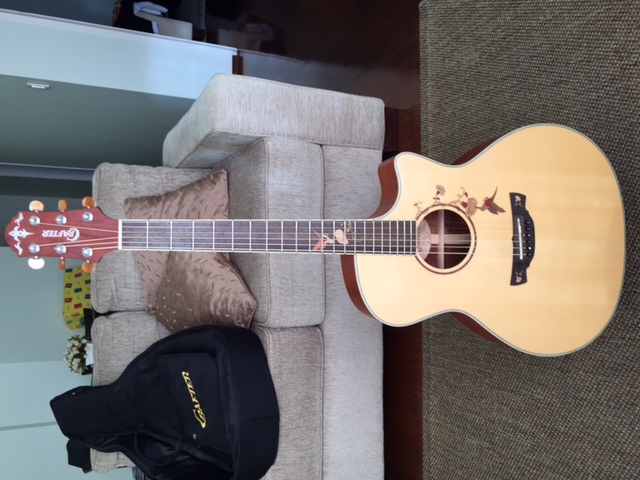 Vendo: Violão Crafter TB-Bubinga Twin Birds com Capa Original Crafter IMG_1838