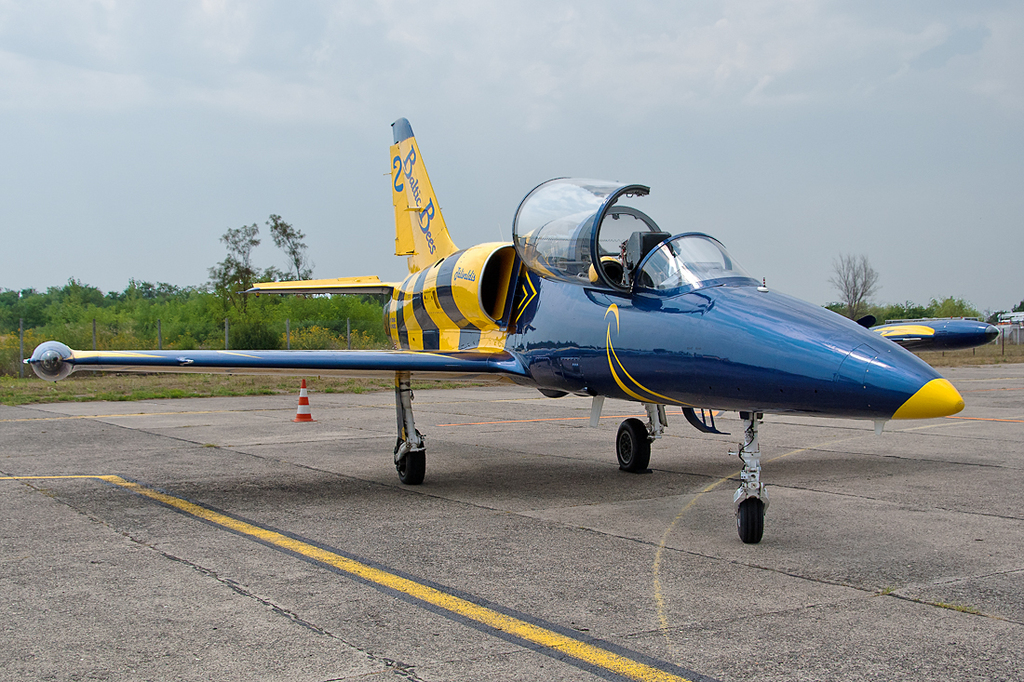 Satu Mare Air Show 2013 - Poze DSC_5229sa1100viv