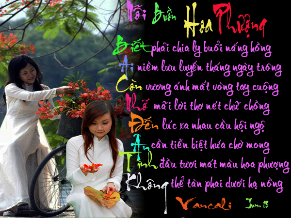 1 - Thân chào quý huynh tỷ . lâu không gặp hì hì .... - Page 13 Noi_buon_hoa_phuong_2222