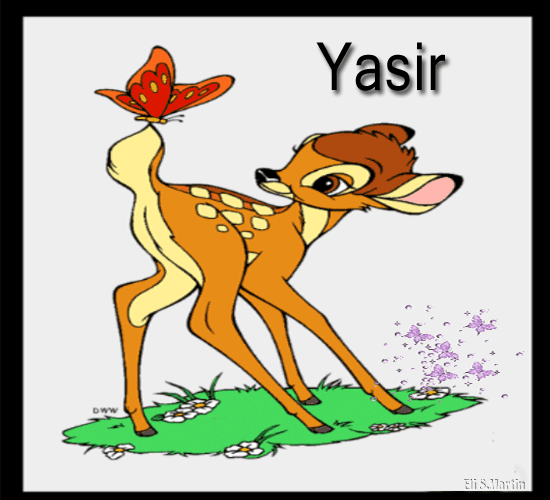 Nombres que empiecen con la letra Y 8-_Yasir