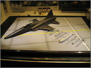 JAS 40A/B Tigershark, Monogram/Revell 1:48 scale IMG_7329