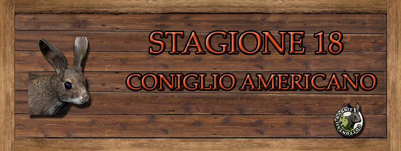 Coniglio Americano - ST. 18 CONIGLIO_AMERICANO