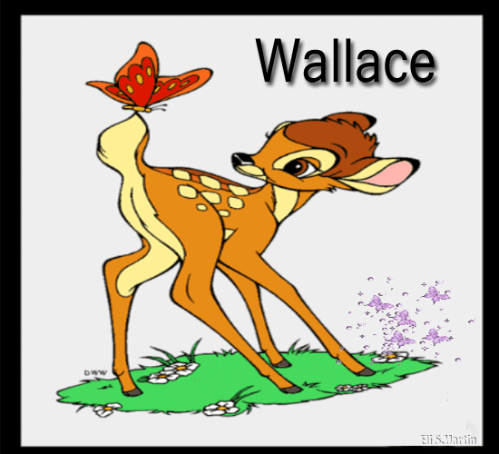Nombres que empiecen con la letra W 8-_Wallace