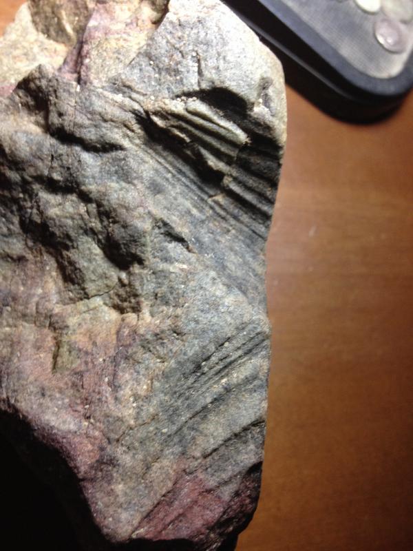 Fósiles extremeños Ordovicico Inferior. Ayuda porfa!!! IMG_2452