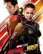 Ant-Man & The Wasp - Página 2 34117791_2068467569892882_1627575189644509184_n