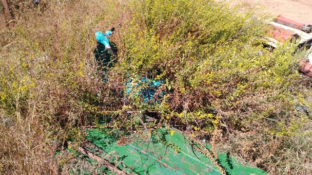 COCHES INTERESANTES,PARADOS Y ABANDONADOS EN HUELVA,BADAJOZ Y PROVINCIA - Página 7 IMG_20160921_WA0018