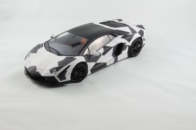 Lamborghini Aventador Camo Finish IMG_4949