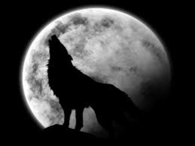 LUNA LLENA HOMBRE LOBO? LOBO_NOCHE