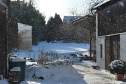 Zima na zahradě - Stránka 2 DSC_0053