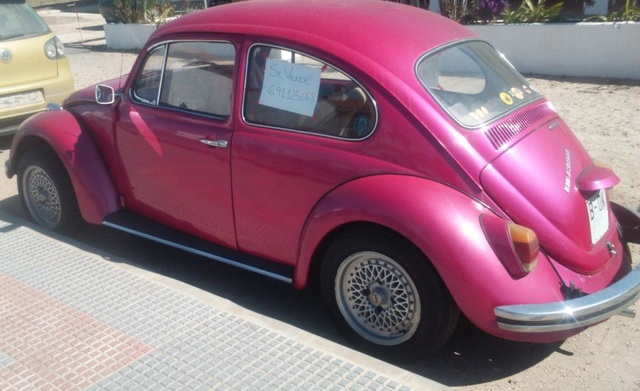 Y OTRO ESCARABAJO EN VENTA. - Página 2 IMG_20150227_WA0016_copia