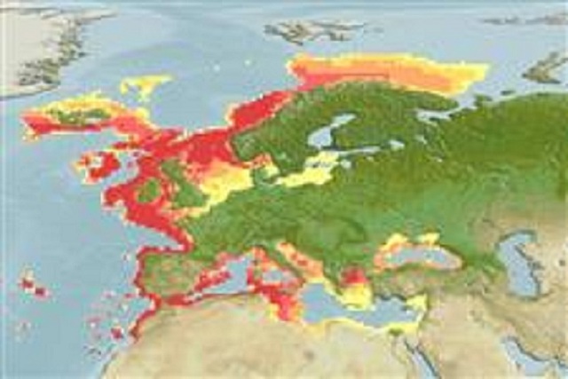 СРЕДИЗЕМНОМОРСКИ РИБИ! - Page 6 Exp_7_pic_Fis_29433