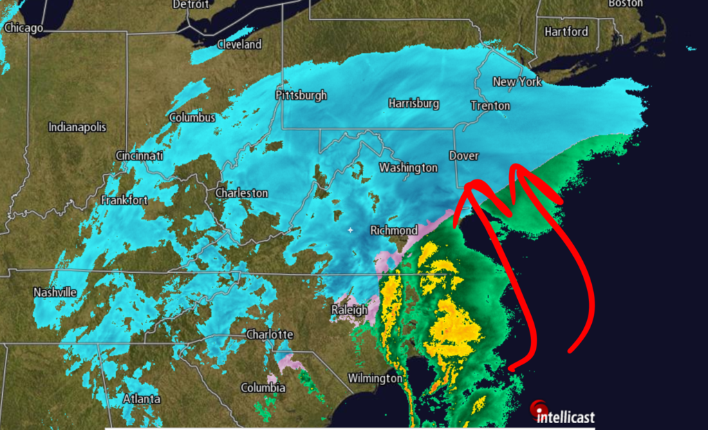 Roidzilla Storm Mode - January 23, 2016 Updated Final Call  Radar