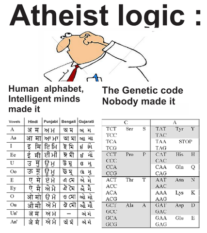 The origin of the genetic cypher, the most perplexing problem in biology Sdfsdsd