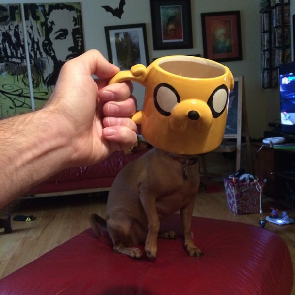 See how to simply use a mug/cup/glass to make you turn into a super hero! Bknint_20150718181429404_0718_17011_001_07p