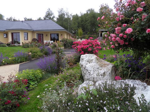 le jardin de danyland - Page 2 07_SDC13201