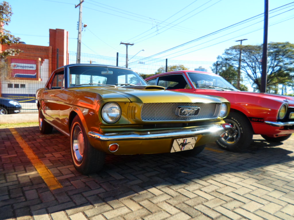 Opala comodoro 79 - 4100 - Six Silver - Matilde - Página 7 SAM_0093