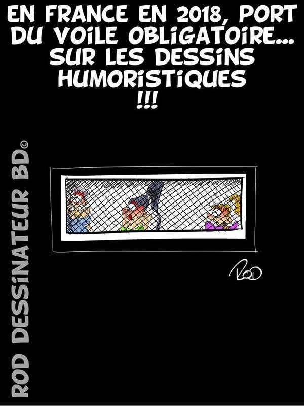 Dessins humoristiques de ROD - [ARCHIVES 01] - Page 39 2018-06-11-rod