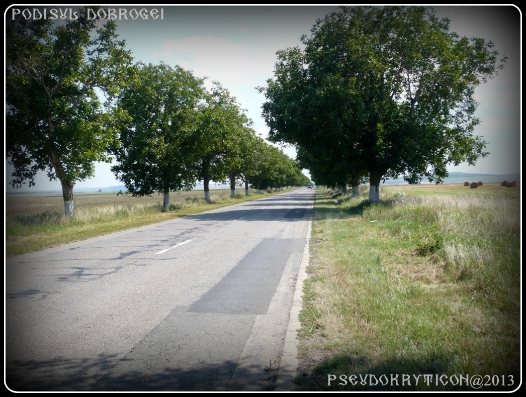 Podisul CASIMCEI Podis_Dobrogea_20130714_020