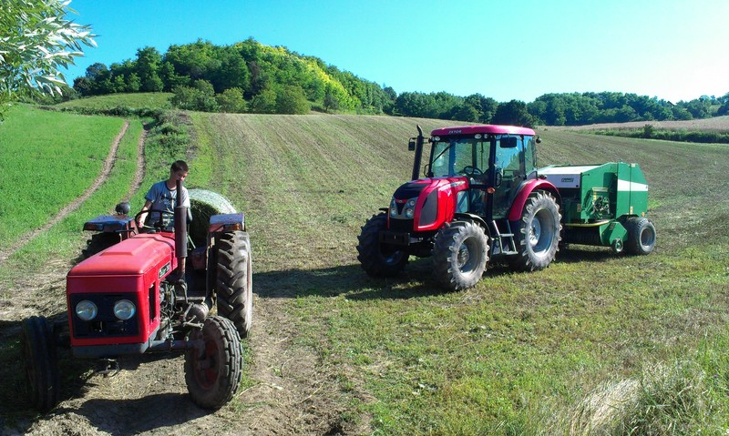 Zetor proxima 90 IMAG1441