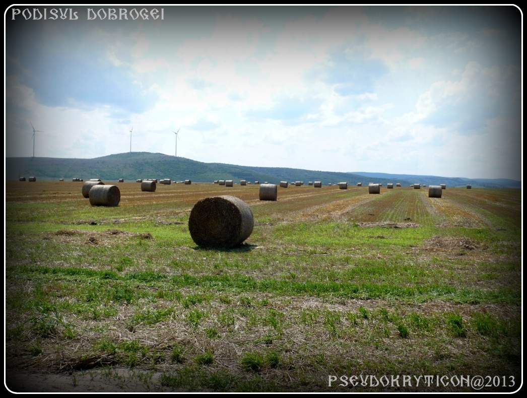 Podisul CASIMCEI Podis_Dobrogea_20130714_016