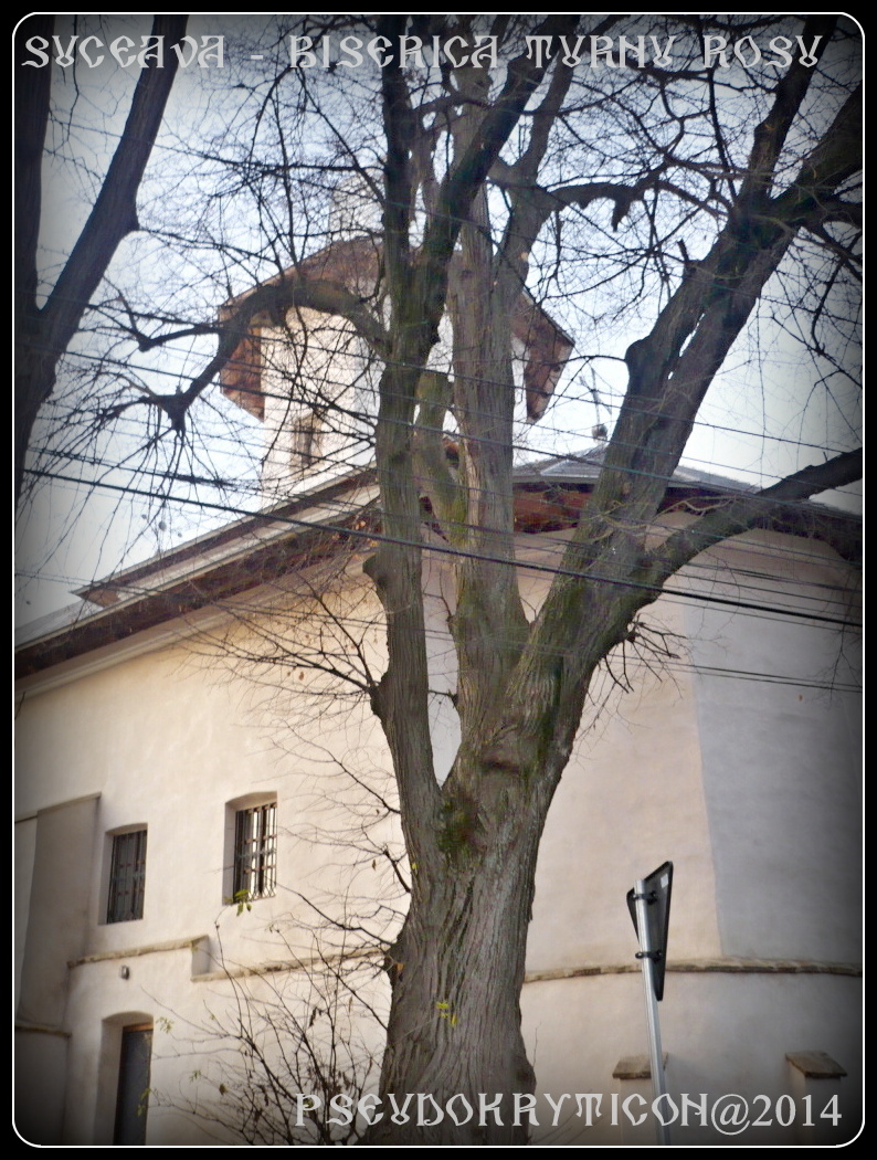 Biserica TURNU ROSU Suceava 20141109_2_Vizitam_Suceava_030