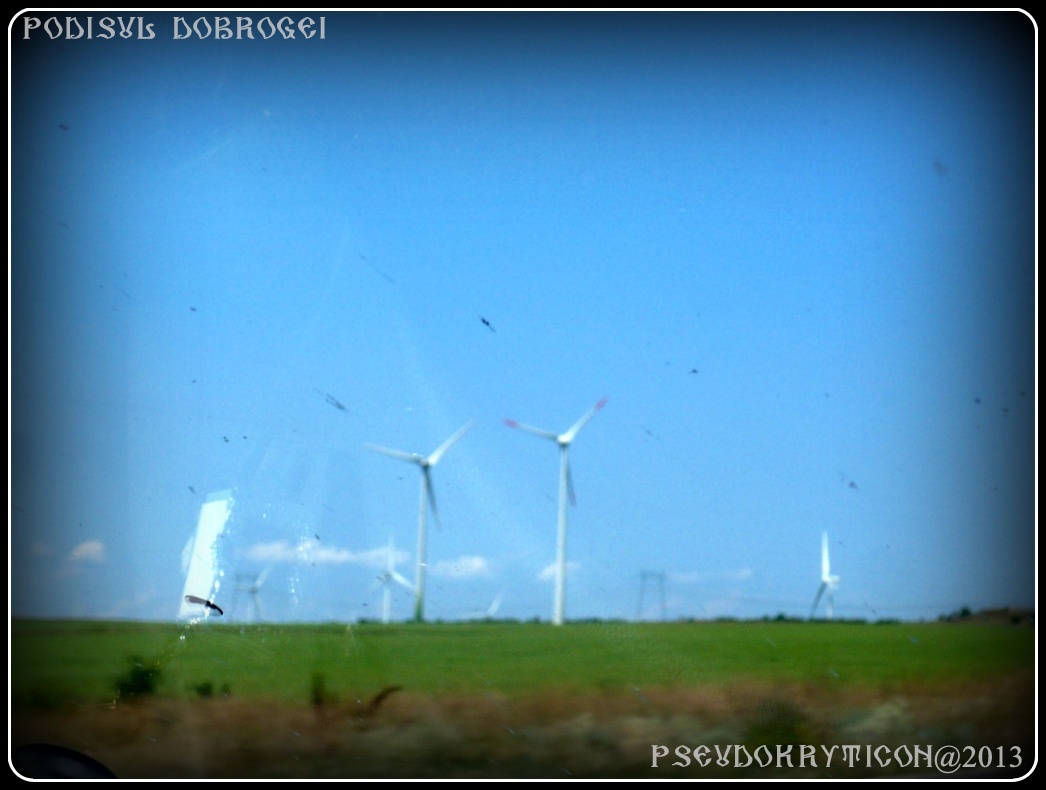 Podisul CASIMCEI Podis_Dobrogea_20130714_007