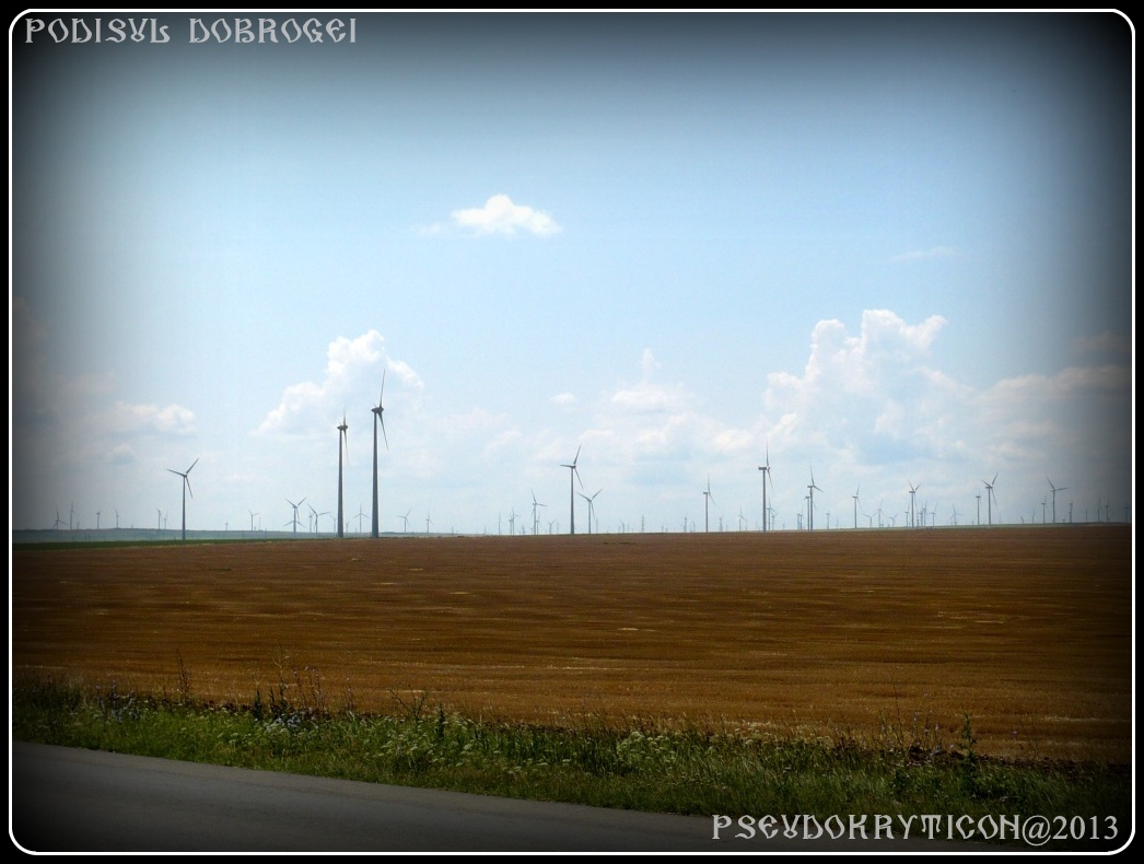 Podisul CASIMCEI Podis_Dobrogea_20130714_011