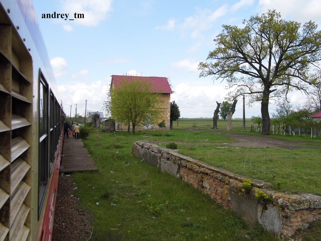 217 : Timisoara Nord - Periam - Lovrin - Nerau - Pagina 2 P1020413